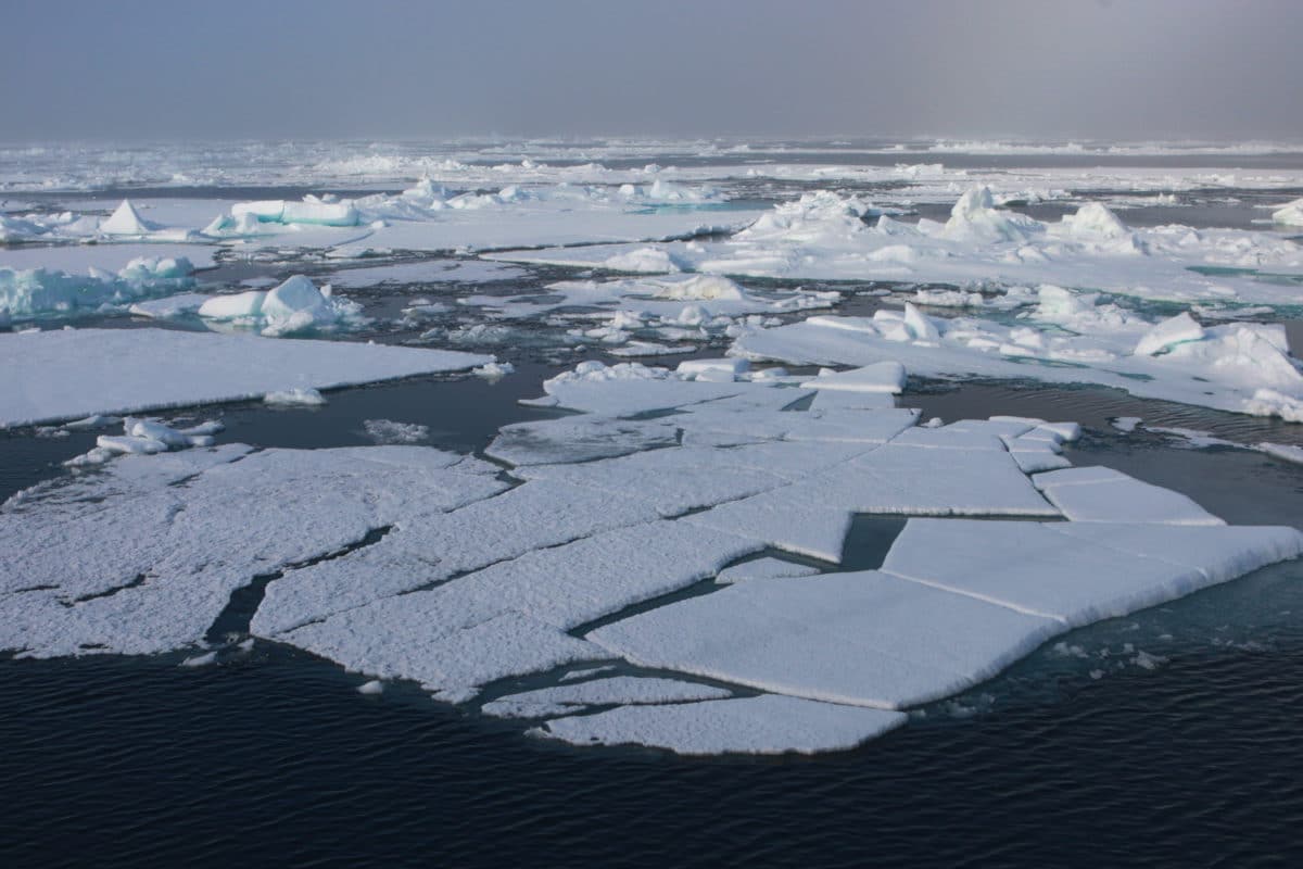 A.Deniaud:Tara Expeditions TARA ARCTIC LEG MOURMANSK-DOUDINKA (11)