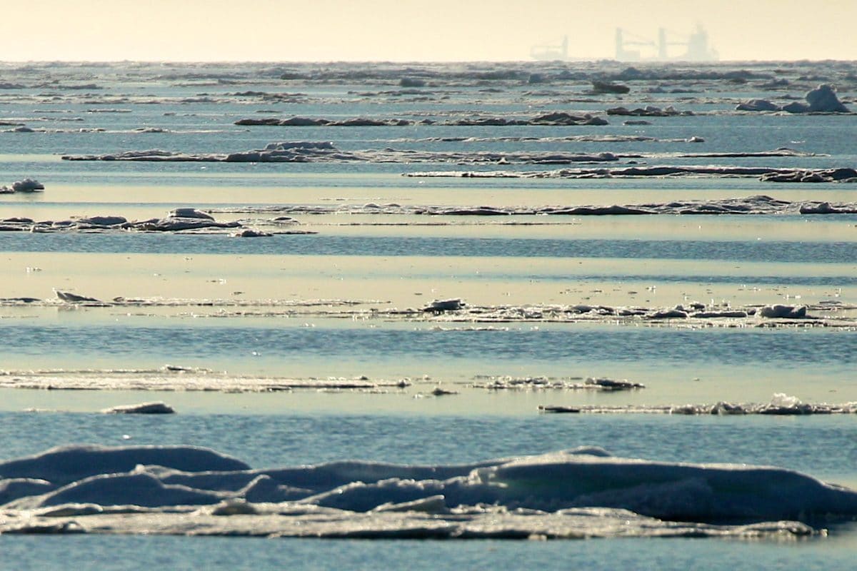 Au petit matin sur la glace