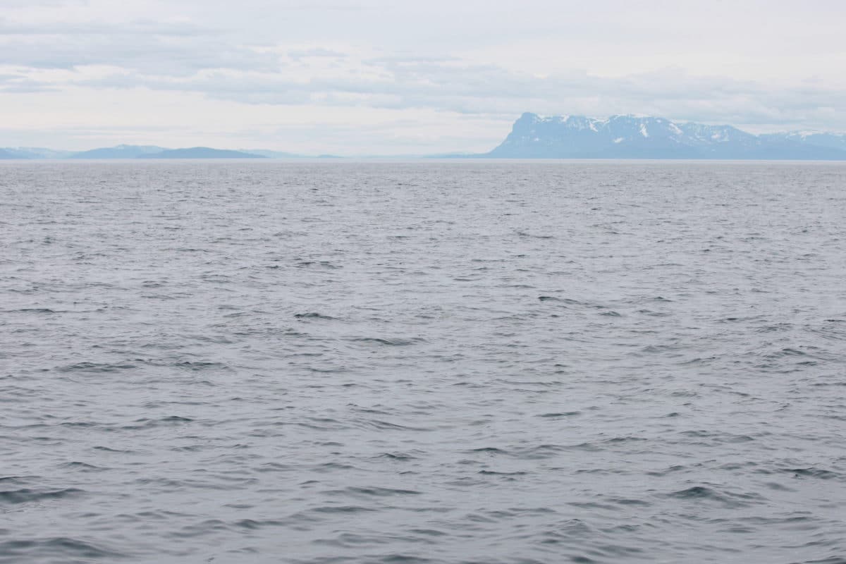 A.Deniaud:Tara Expeditions passage du cap nord