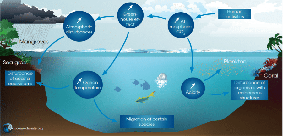 How climate. Global ecosystem. Climate change and Oceans. Ecosystem change. Climate change and the Coast.