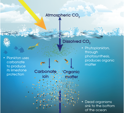 Marine protected areas and climate change - Ocean & Climate Initiatives ...