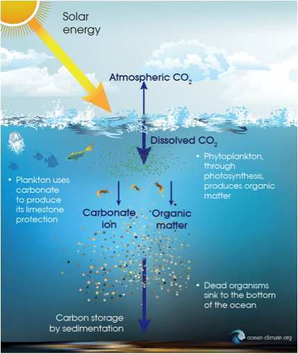 mpa1 - Ocean & Climate Initiatives Alliance